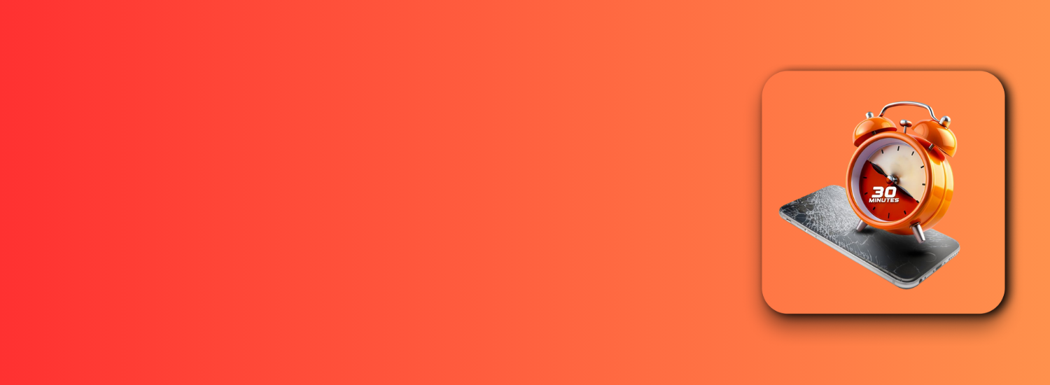 Professional Device Repair